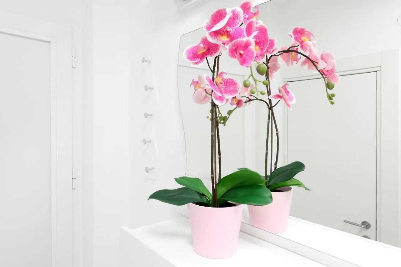 Bellevue Apartment Rijeka